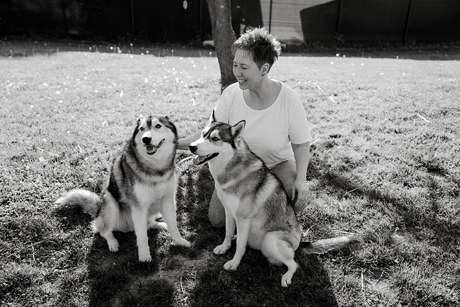 Zwei Huskys, Ganzkörperaufnahme